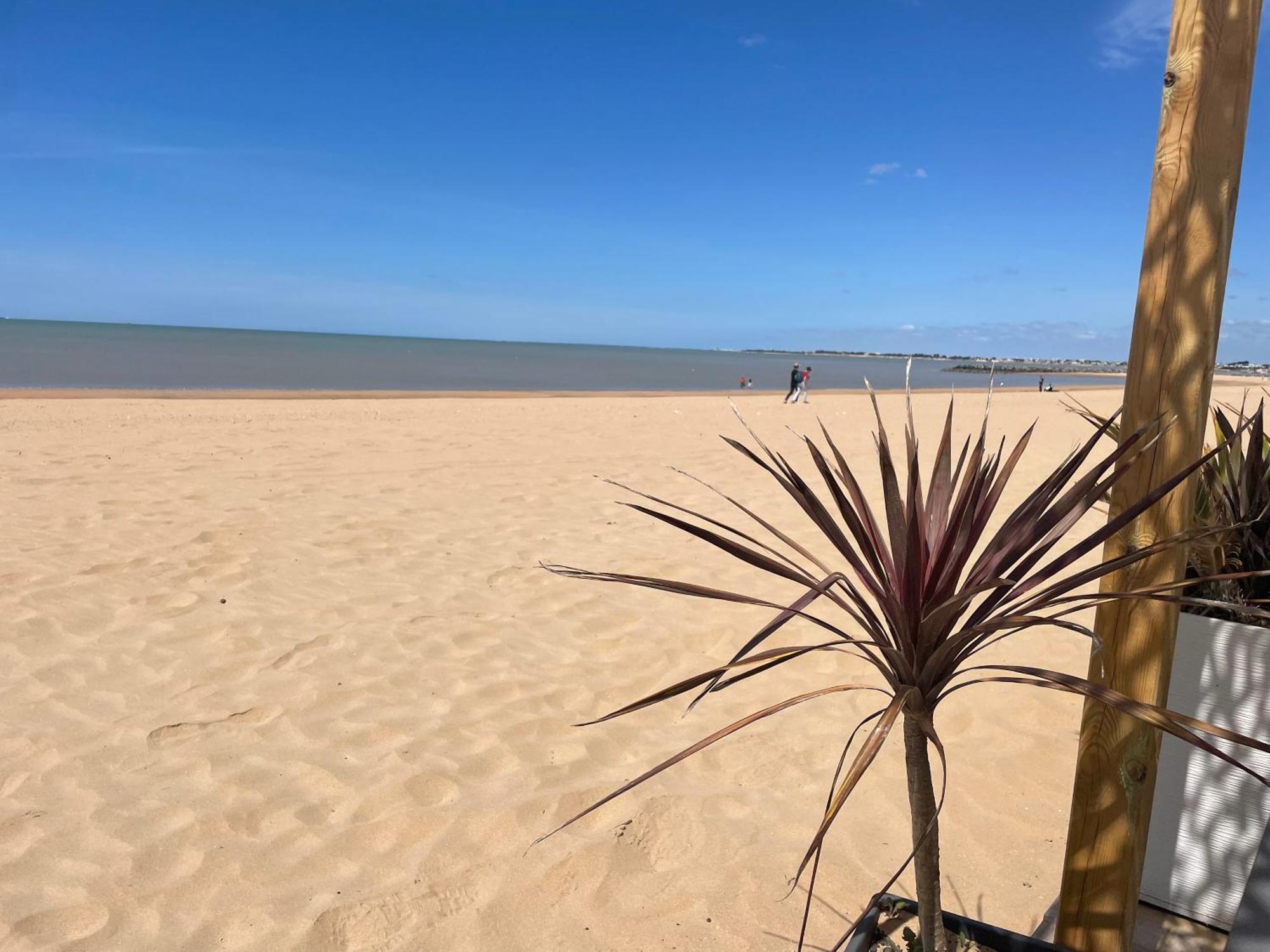 Acadie Saint Victor - Hotel Restaurant - Face Mer - Chatelaillon Plage Εξωτερικό φωτογραφία